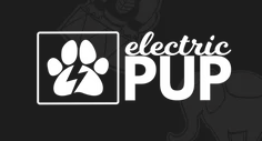 Unleashing Our Passion: The story behind acquiring Electric Pup!