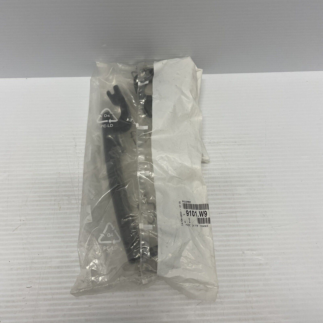 Door Handle With Key Hole Genuine Citroen C2 C3 9101W9 Passenger Driver Side