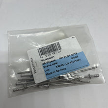 Load image into Gallery viewer, Genuine Volkswagen Pop Rivets x15 N91019701