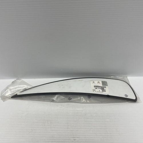 Genuine Citroen Moulding 9677096080