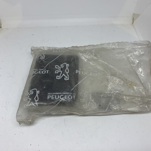 GENUINE Citroen Peugeot 205 309 mk1 GTi  interior map reading light 636282 blank