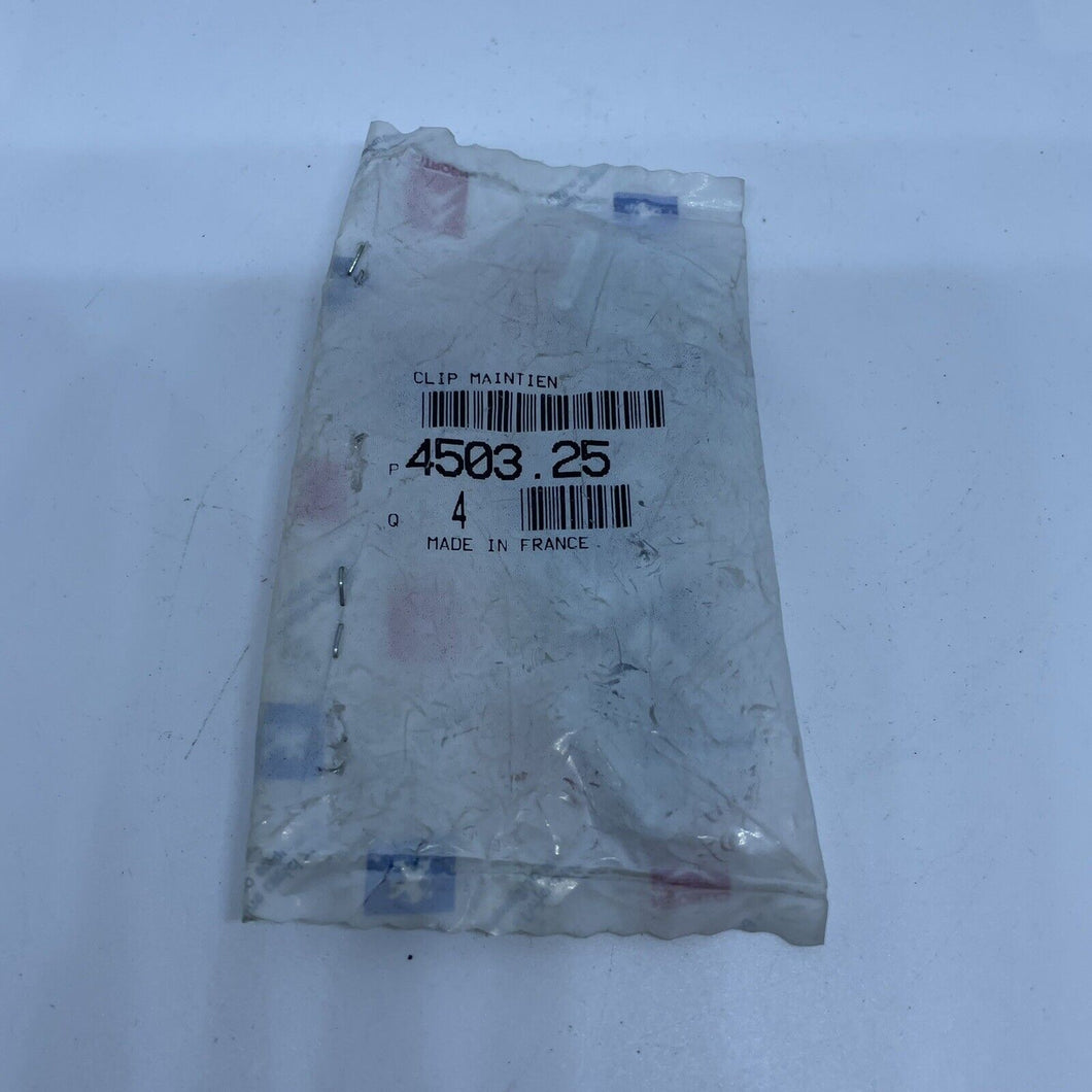 Genuine Citroen Clips 450325