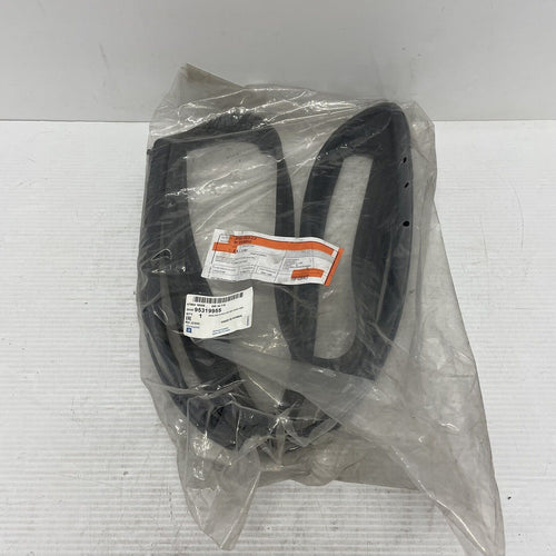 Genuine Chevrolet Door Sealing Strip 95319955