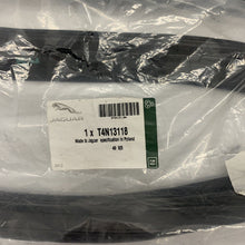 Load image into Gallery viewer, JAGUAR XE X760 Rear Left Door Window Channel Seal T4N13118 NEW GENUINE