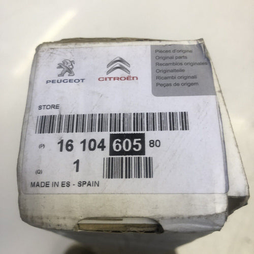 Genuine CITROEN C4 Picasso Sunvisor Blind - 1610460580