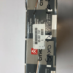 Citn ZX Xsara Saxo AX Pair Of Front Vented Brake Discs Part Number 95661747